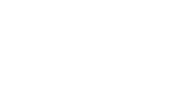 Executive Travel Exchange