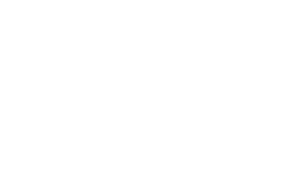 TDSBot