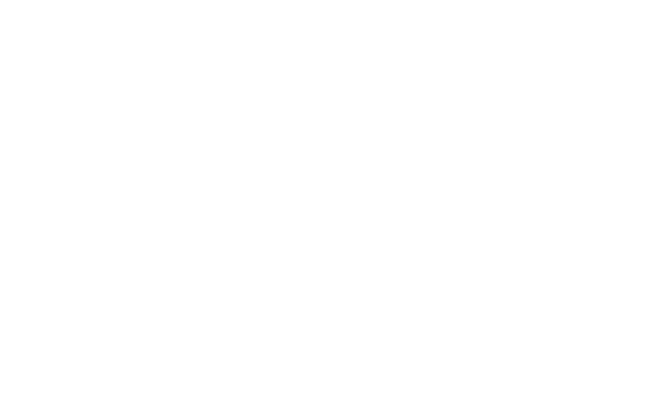 VB Avto
